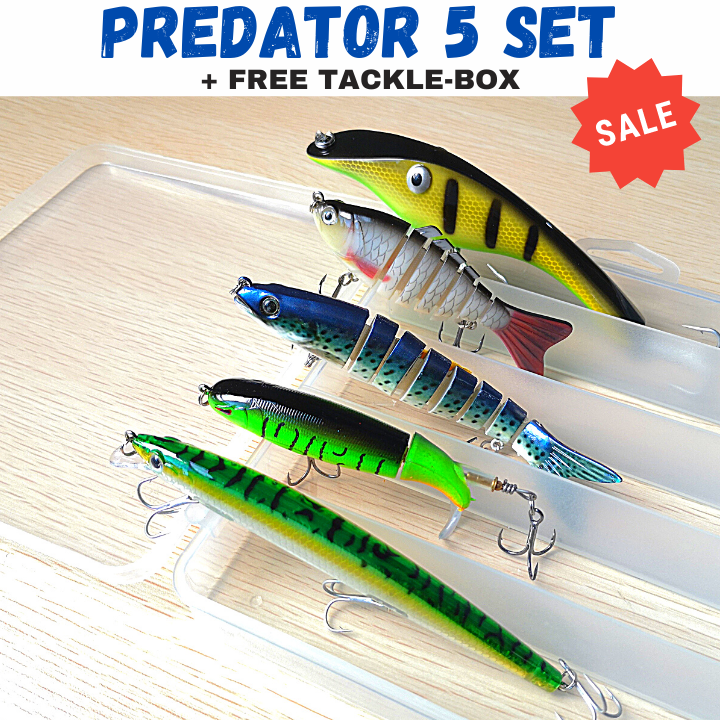 Predator 5 Set