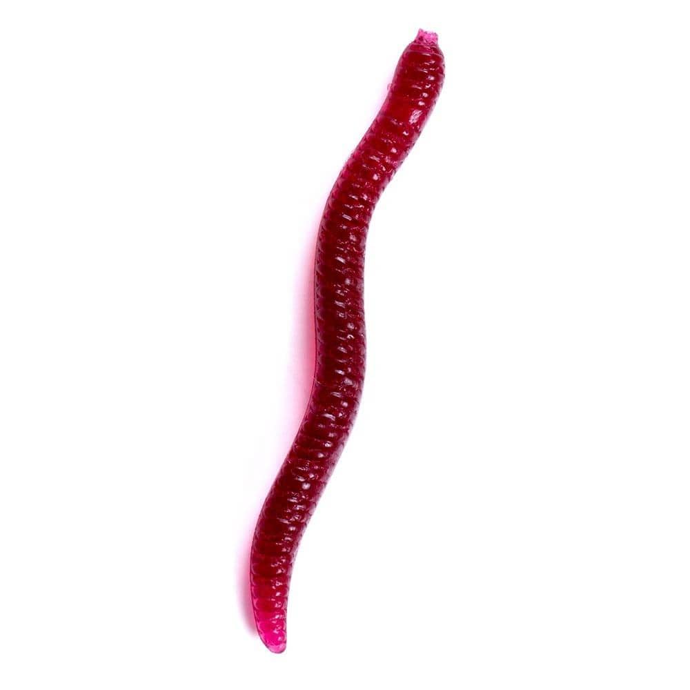 FishingFriend Angleworm Micro Baits Red Wiggle Worm