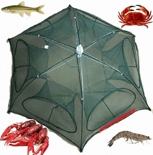 Fishing Bait Trap Net Cast Fish  Cage